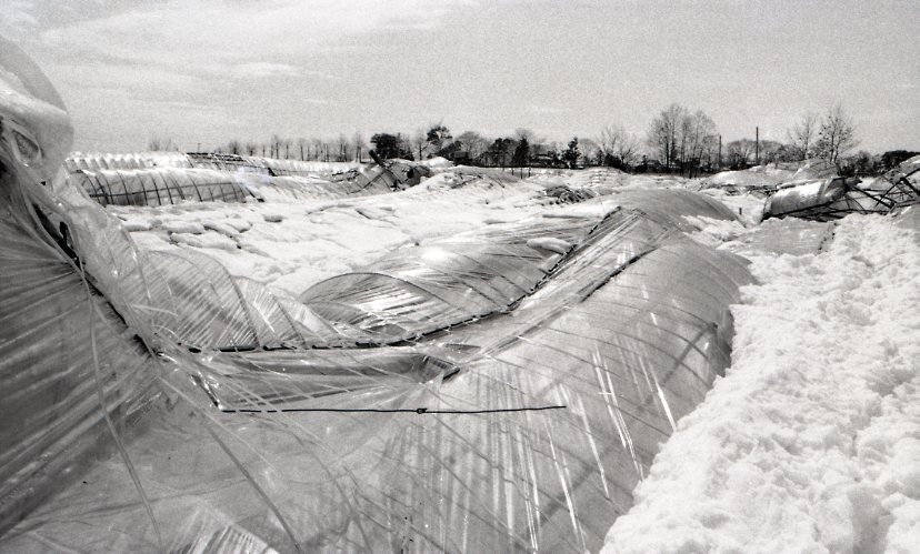 1969 大雪被害023.jpg